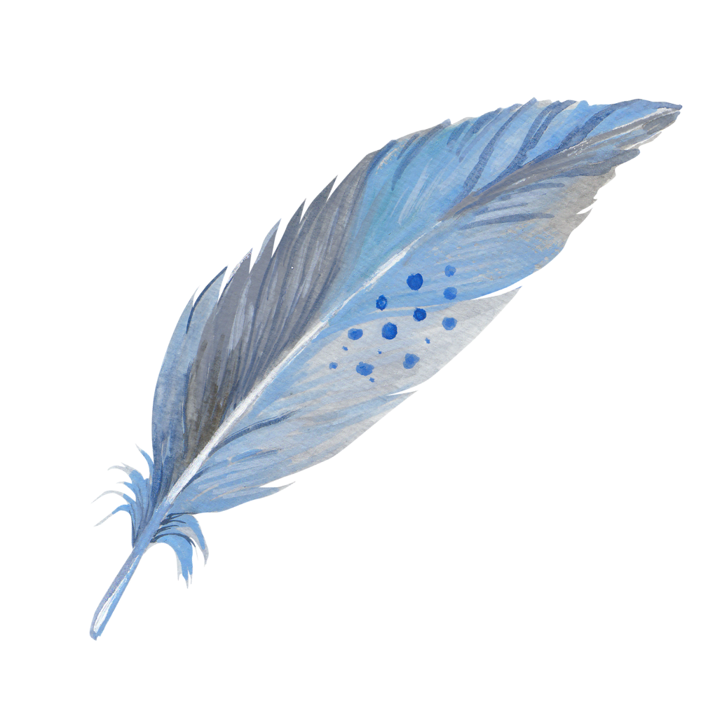 Sex Toys Winnipeg THORN FEATHER Sex Toys Winnipeg THORN FEATHER