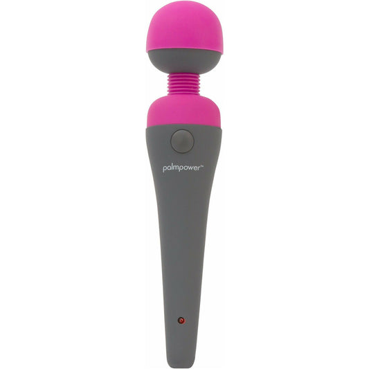 PalmPower Personal Massager