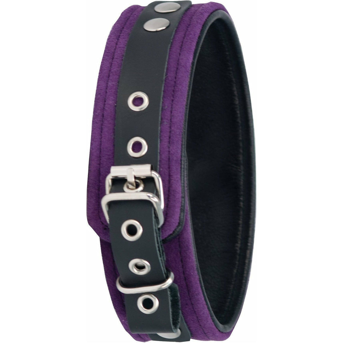 Punishment Purple Suede Bondage Collar