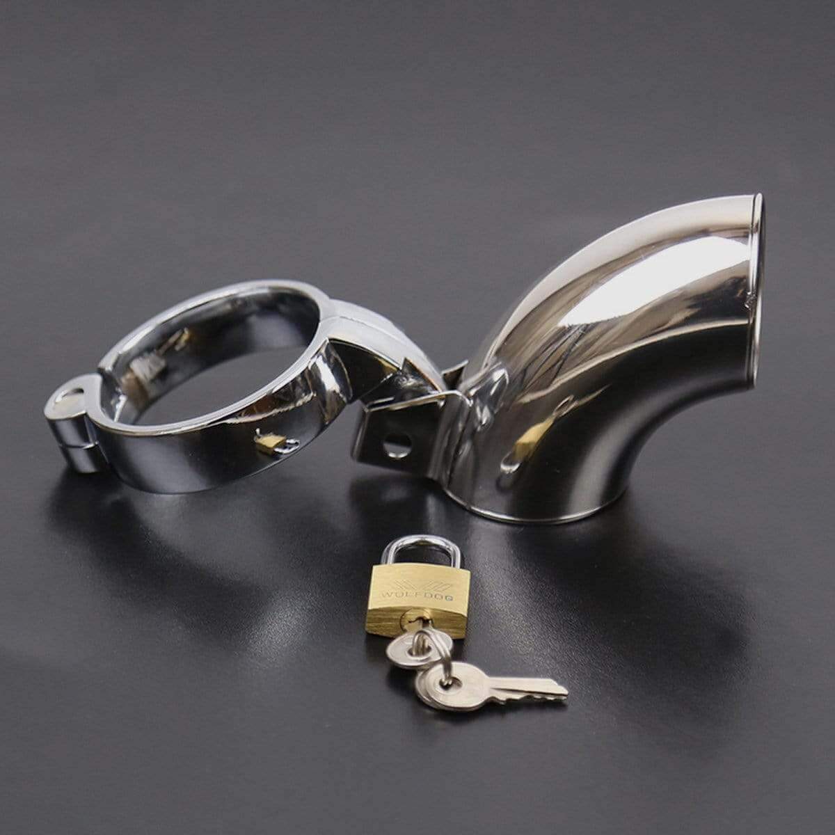 T&F BDSM Metal Ring Penis Hoop with Lock - Thorn & Feather