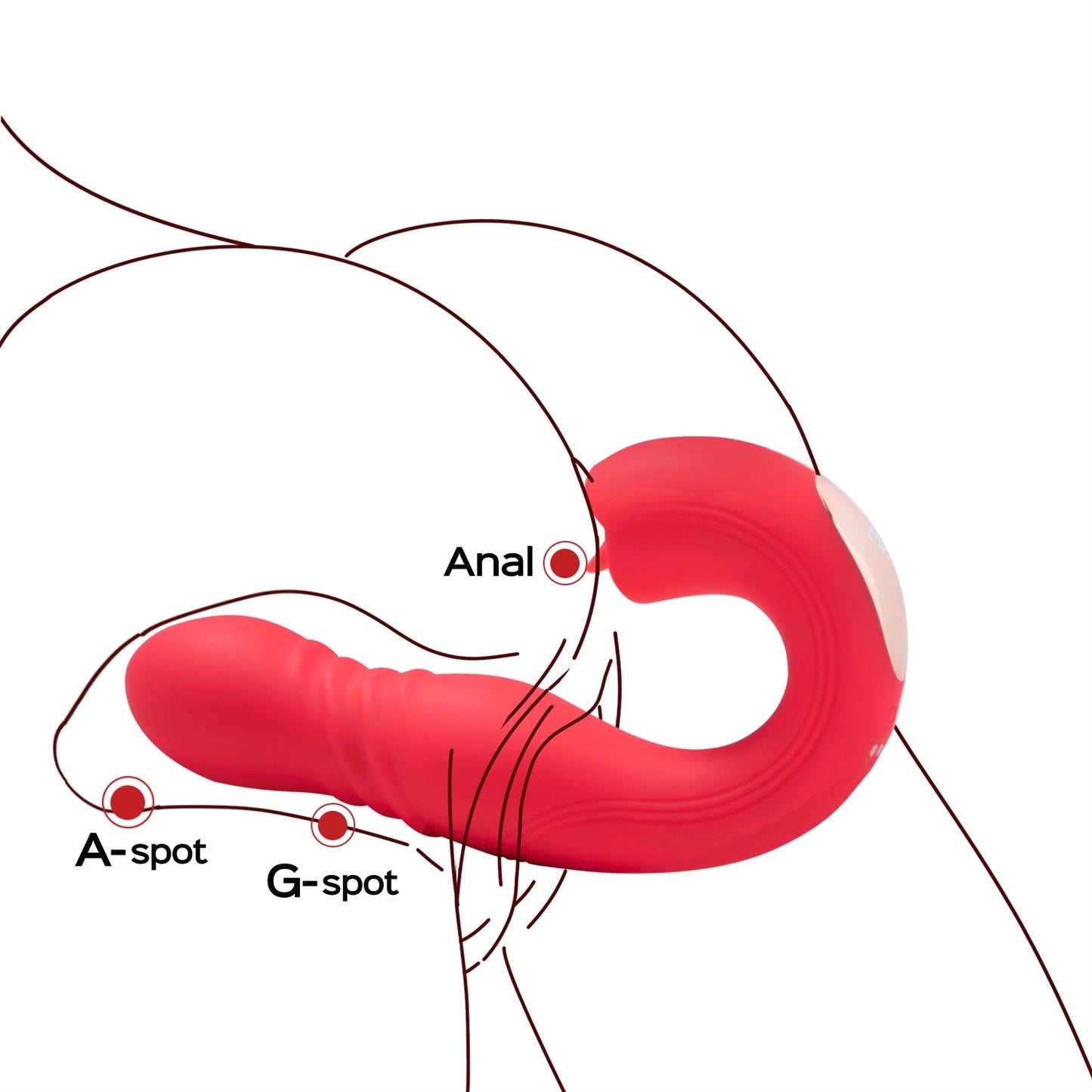 JOI THRUST App Controlled Thrusting G-spot Vibrator & Tongue Clit Licker - Thorn & Feather