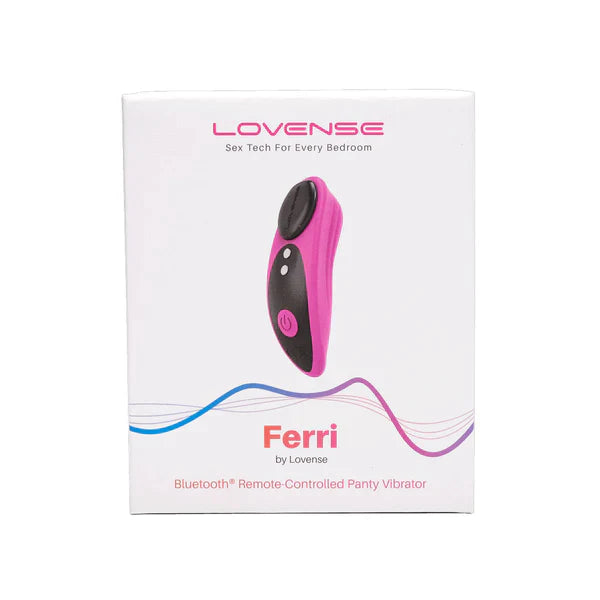 Lovense Ferri Magnetic Panty Vibrator