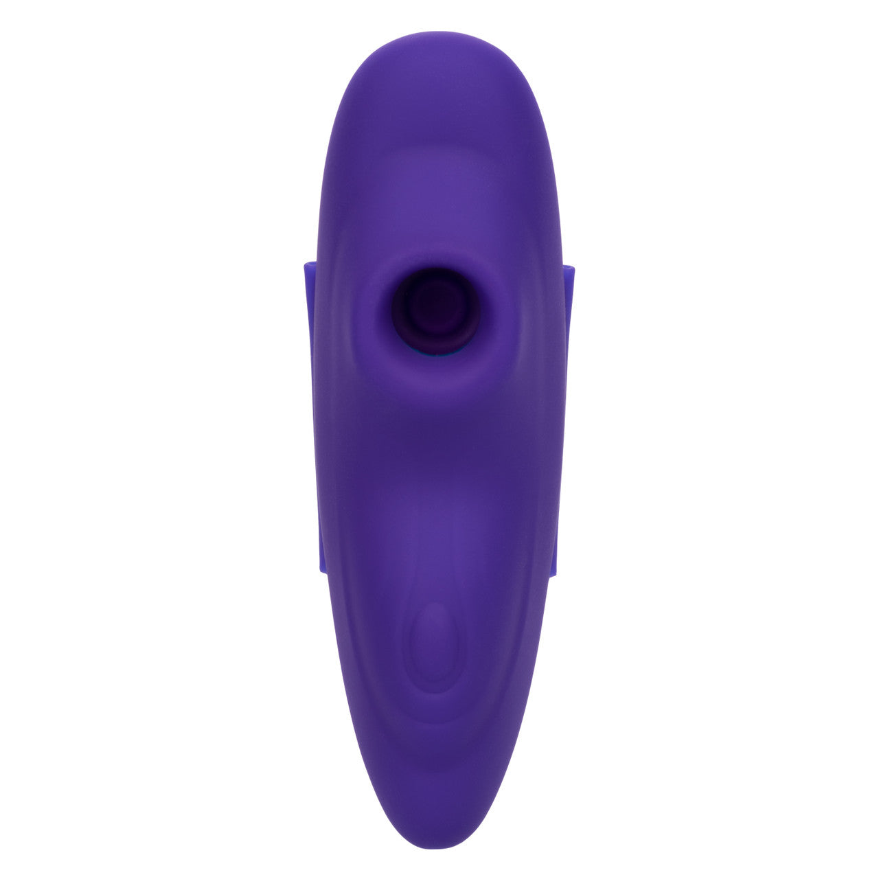 Lock-N-Play Remote Suction Panty Teaser