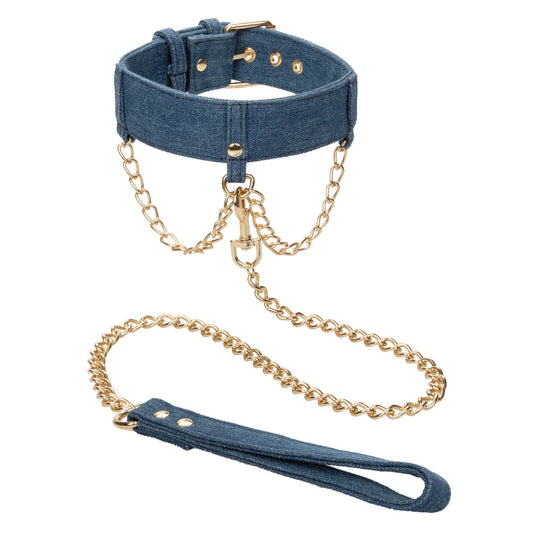 Ride 'em Premium Denim Collection Collar with Leash - Thorn & Feather