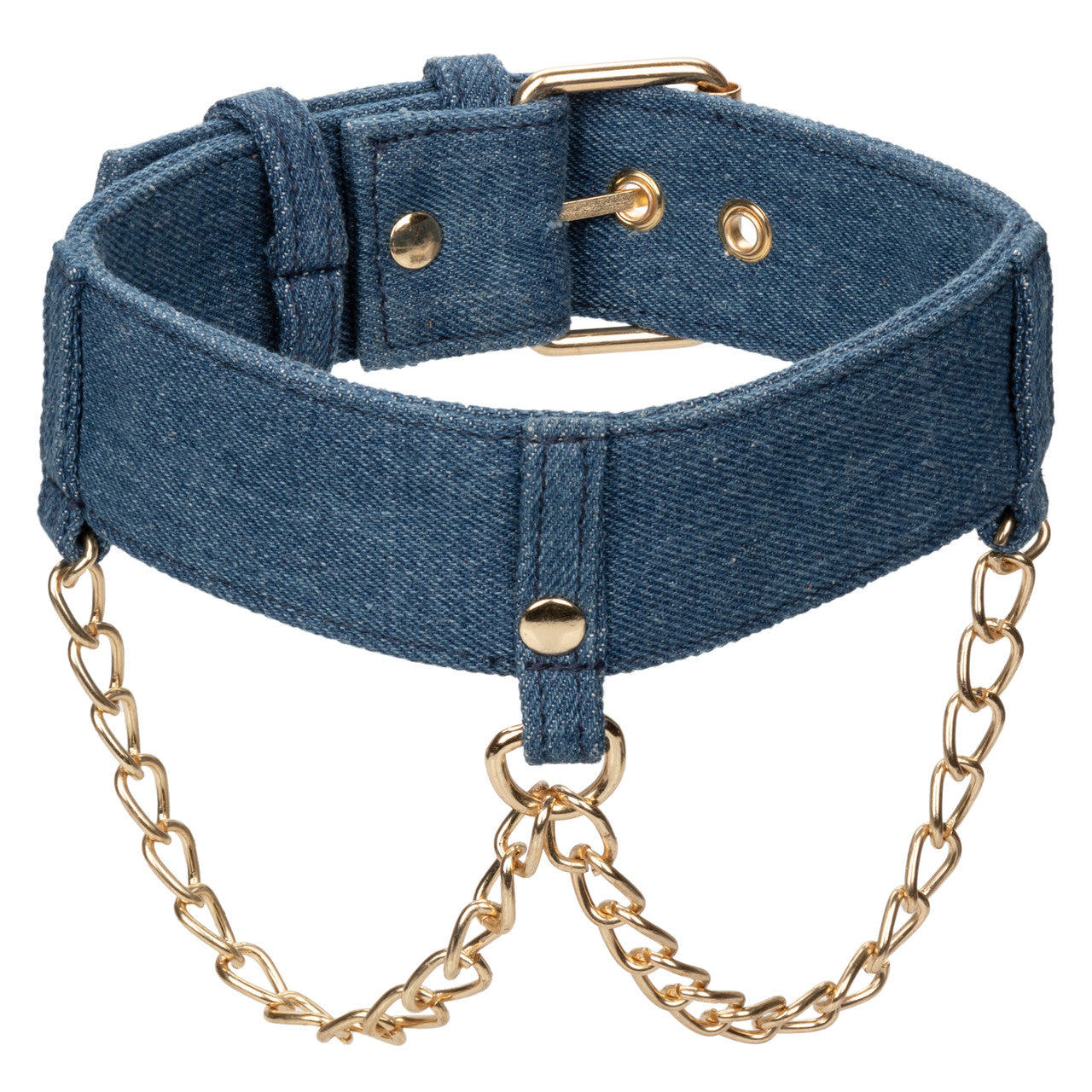 Ride 'em Premium Denim Collection Collar with Leash - Thorn & Feather