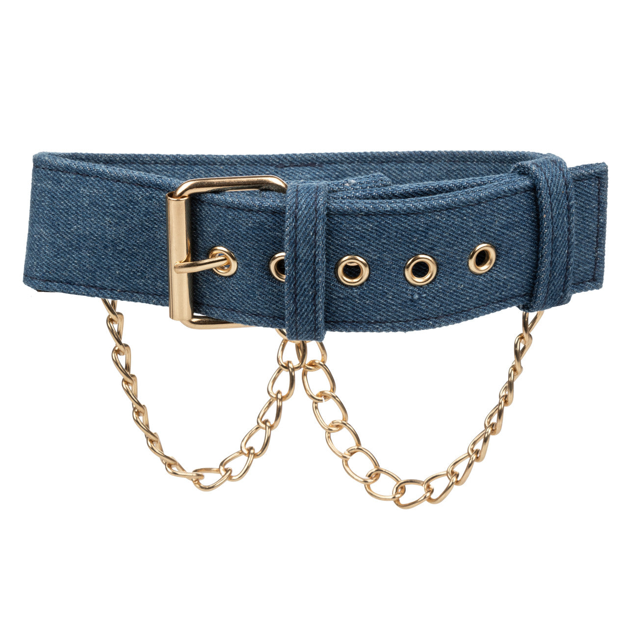 Ride 'em Premium Denim Collection Collar with Leash - Thorn & Feather