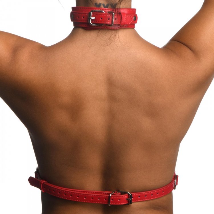 Strict Red Female Chest Harness - M/L - Thorn & Feather