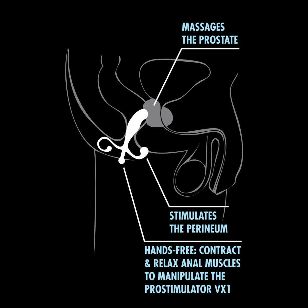 Performance Prostimulator VX1 Prostate Toy - Thorn & Feather