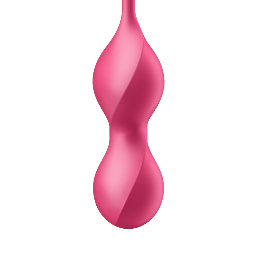 Satisfyer Love Birds 2 Connect App Vibrator