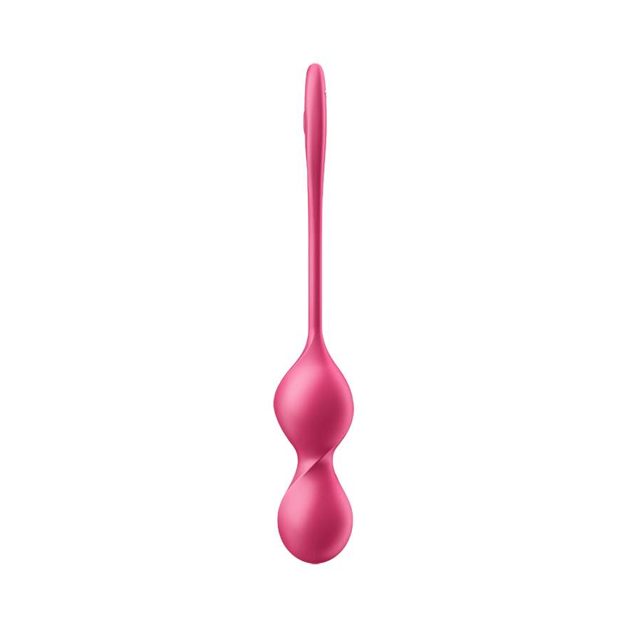 Satisfyer Love Birds 2 Connect App Vibrator