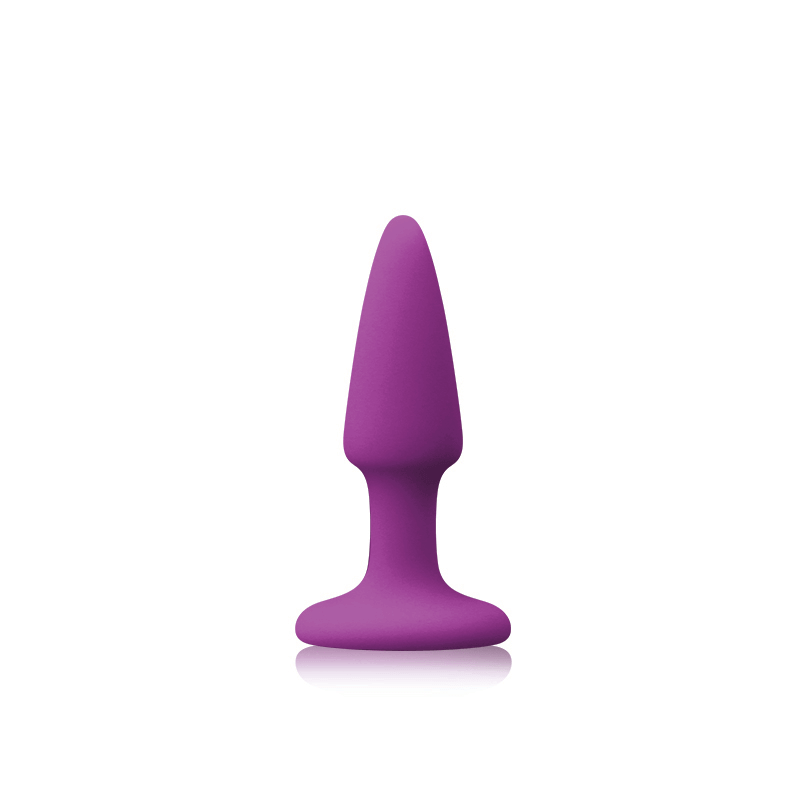 Colours Pleasures Mini Plug - Purple - Thorn & Feather Sex Toy Canada