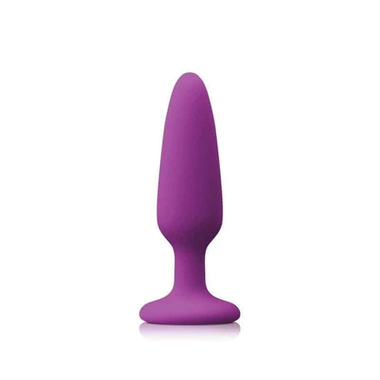 Colours Pleasures Small Plug - Purple - Thorn & Feather Sex Toy Canada