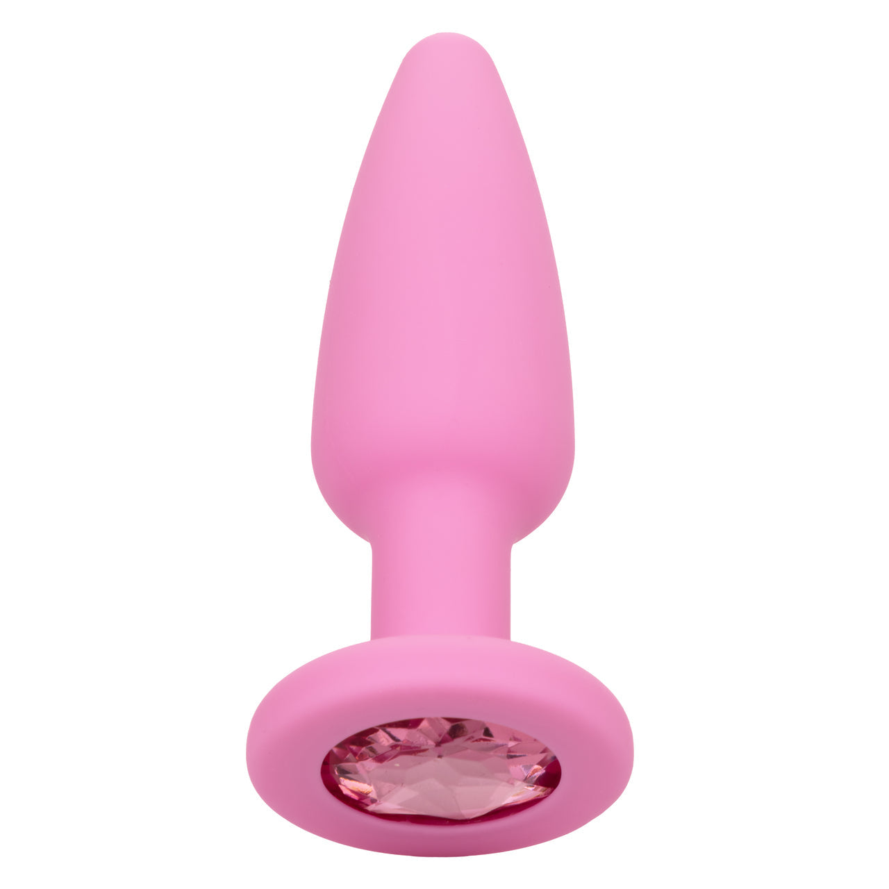 First Time Crystal Booty Kit - Pink - Thorn & Feather Sex Toy Canada