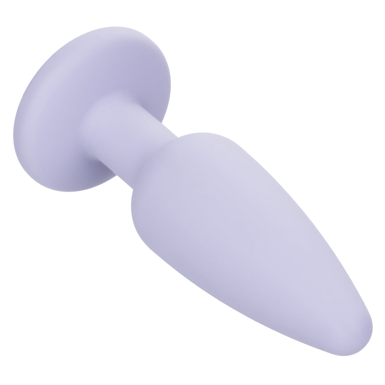 First Time Crystal Booty Kit - Purple - Thorn & Feather Sex Toy Canada
