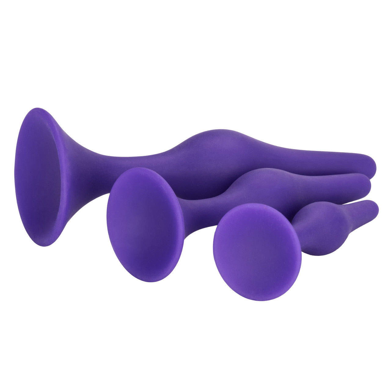 Booty Call Booty Trainer Kit - Purple - Thorn & Feather Sex Toy Canada