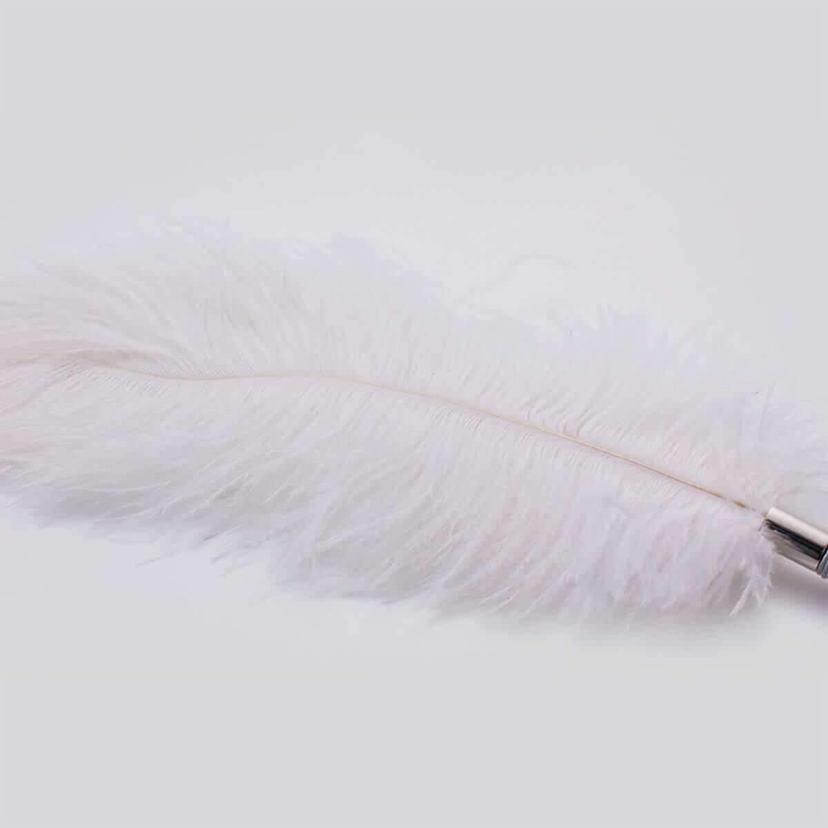 Black or White Luxury Feather Tickler - Thorn & Feather Sex Toy Canada